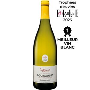 Bourgogne Côte Chalonnaise Chardonnay 2022